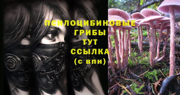 МДПВ Абдулино