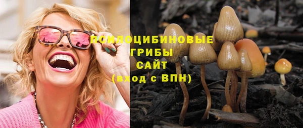 тгк Абинск