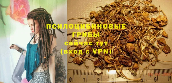 тгк Абинск