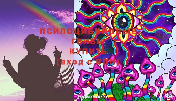 МДПВ Абдулино