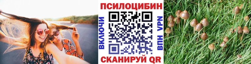 Галлюциногенные грибы MAGIC MUSHROOMS  Братск 